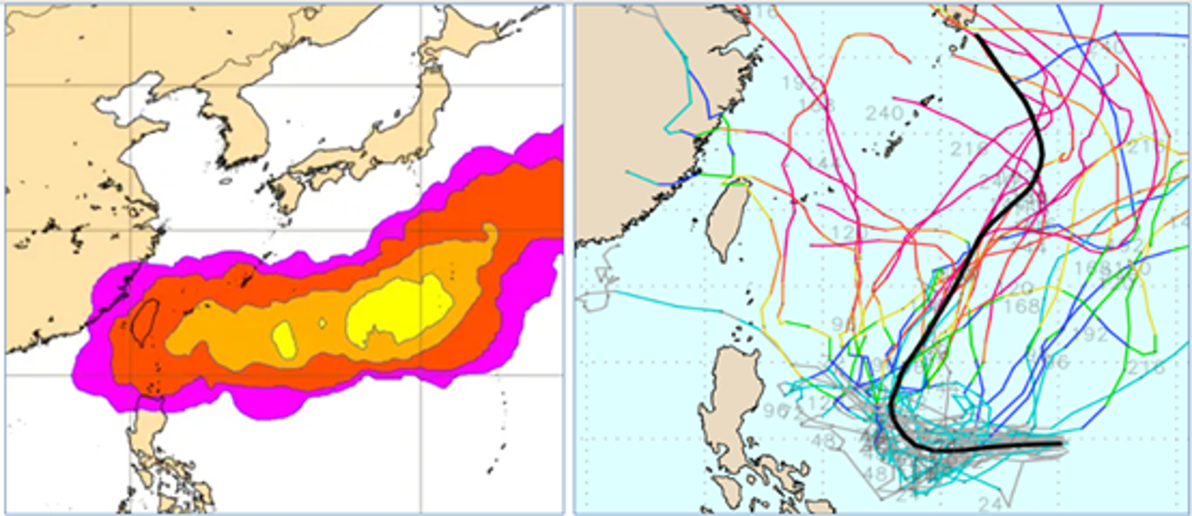 左圖為最新歐洲系集模式,下週日模擬圖顯示,從日本東南方海面向西延伸至台灣附近,都有偏低的「輕颱」存在機率,其影響台灣的機率偏低。右圖則是最新美國系集模式,呈現分歧如「天女散花」狀的模擬路徑。(翻攝自論壇官網)