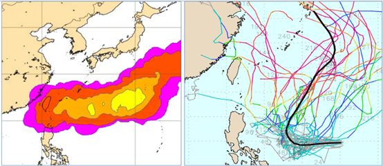 左圖為最新歐洲系集模式，下週日模擬圖顯示，從日本東南方海面向西延伸至台灣附近，都有偏低的「輕颱」存在機率，其影響台灣的機率偏低。右圖則是最新美國系集模式，呈現分歧如「天女散花」狀的模擬路徑。（翻攝自論壇官網）