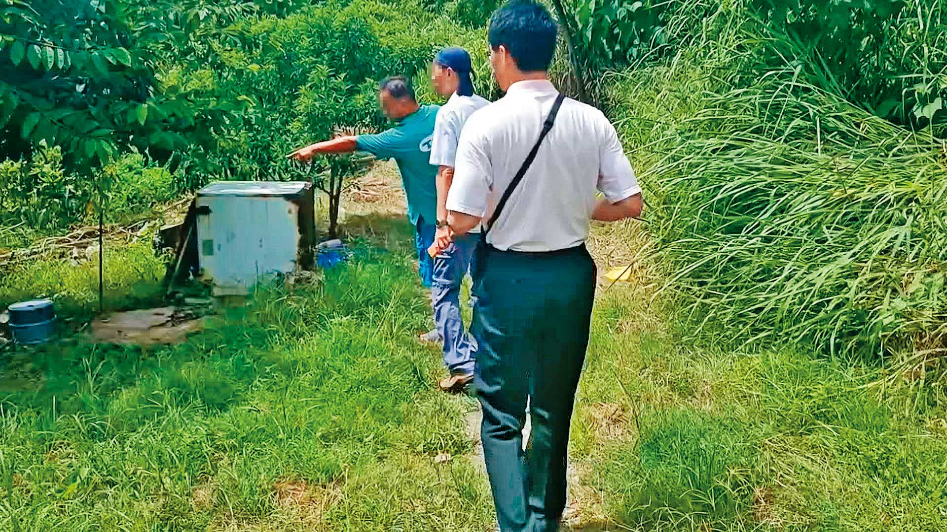 相關單位實地勘查後,研判此中毒案與小米在種植時的農藥殘留問題無關。(鏡新聞提供)