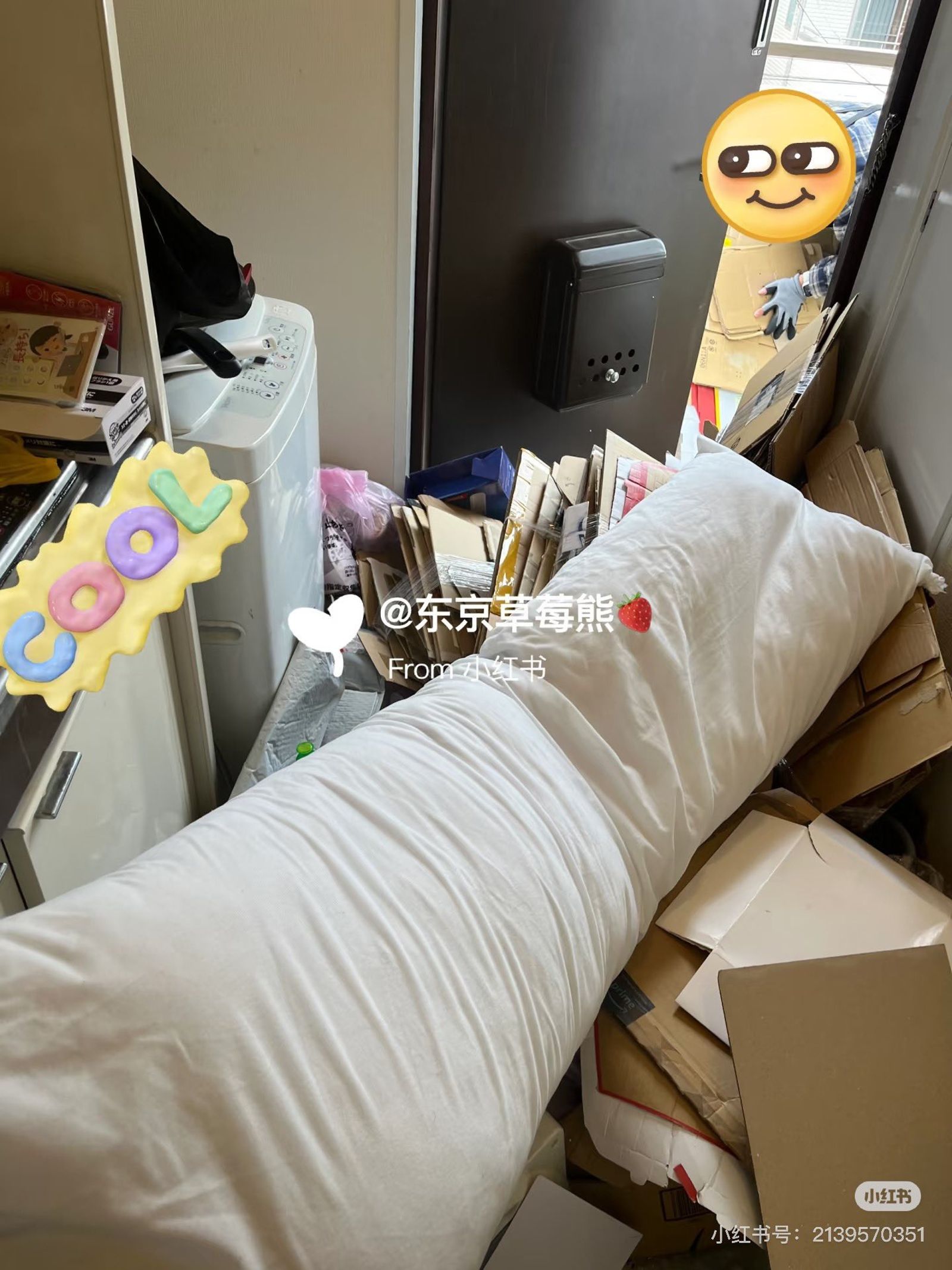 (翻自X平台)