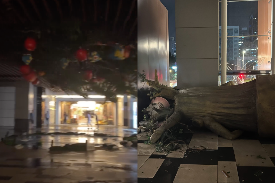 南港區CITYLINK的「大樹爺爺」被風吹走，民眾直呼「太可怕」。（翻攝自Threads）