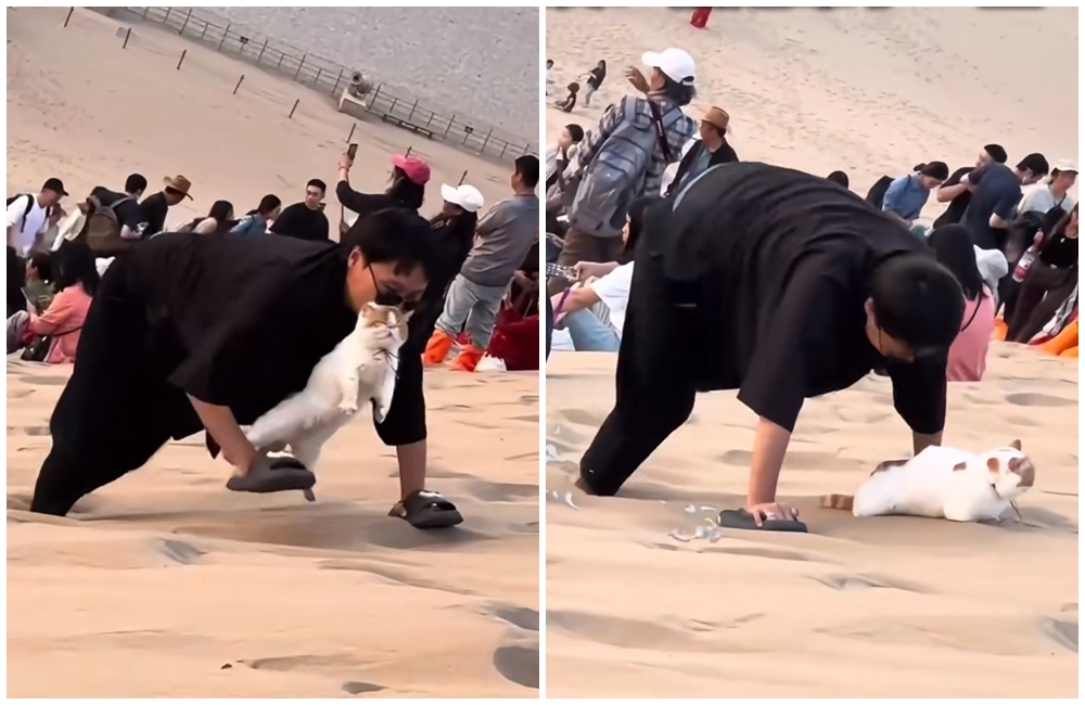 一名女子帶著愛貓赴敦煌鳴沙山。（翻攝自小紅書）