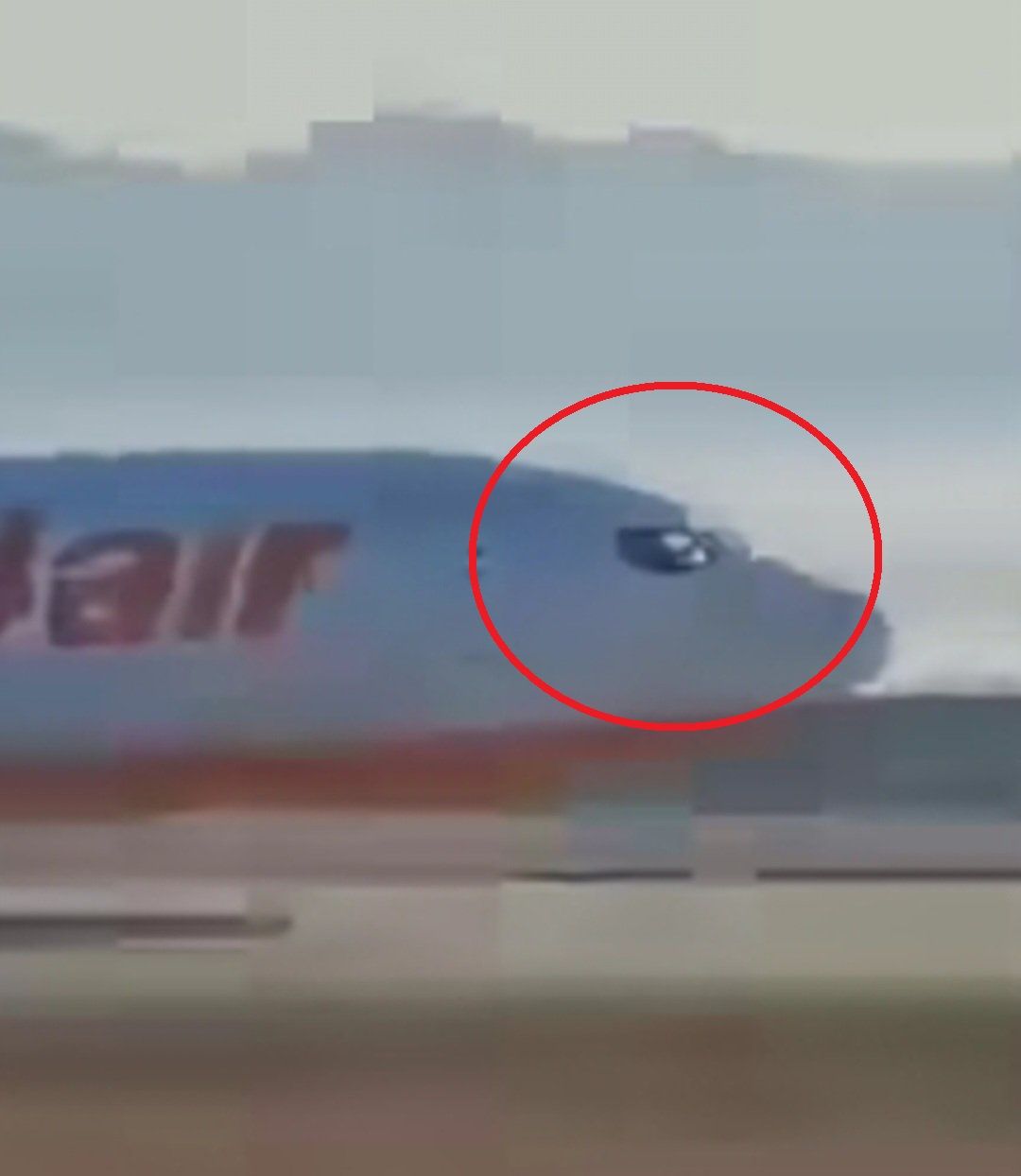 該架客機的韓姓資深機長在最後生死關頭仍全力搶救。（翻攝自韓網）
