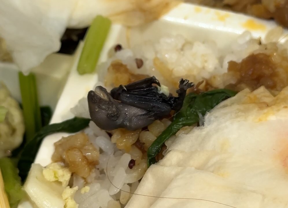 受害網友在Threads發文控訴「蝙蝠寶寶便當」，並列出3點正式訴求，引爆社群輿論。（Threads @whg92241 提供）