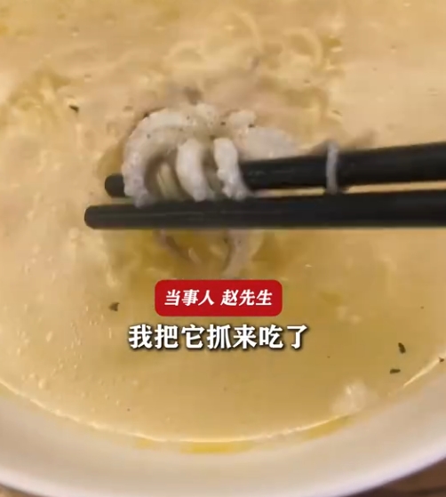 男子從窗戶上撿到小章魚，竟下鍋煮成海鮮麵。（翻攝自微博）