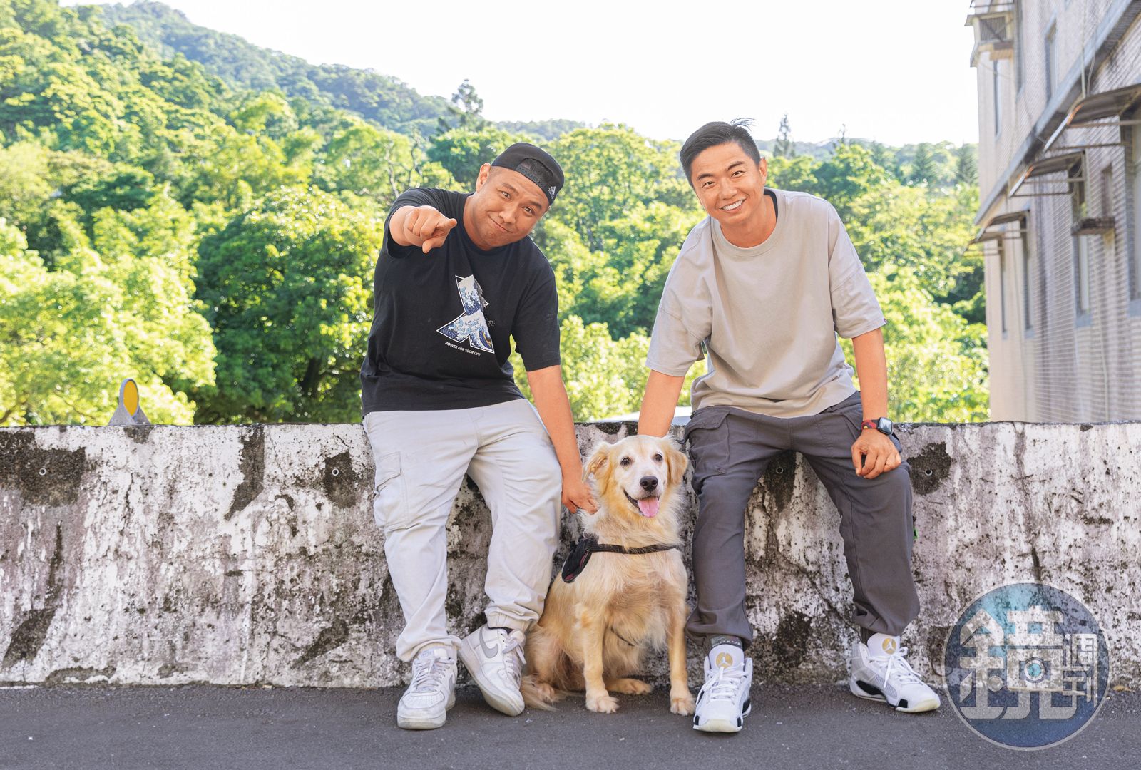 熊爸估狗/市區搬入深山難適應 余至中黃金獵犬脫毛頻發炎