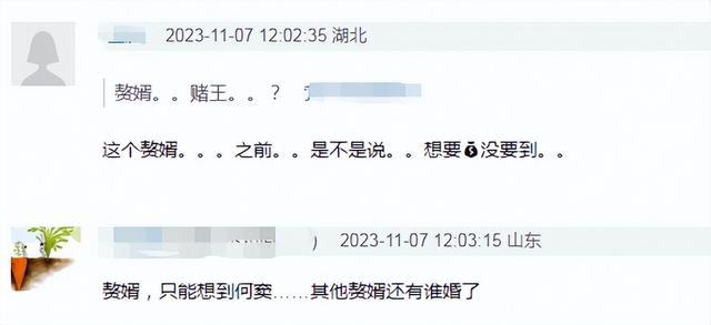 網上爆出有夫妻要離婚,網友從「贅婿」關鍵字猜測是竇驍與何超蓮。(網路圖片)