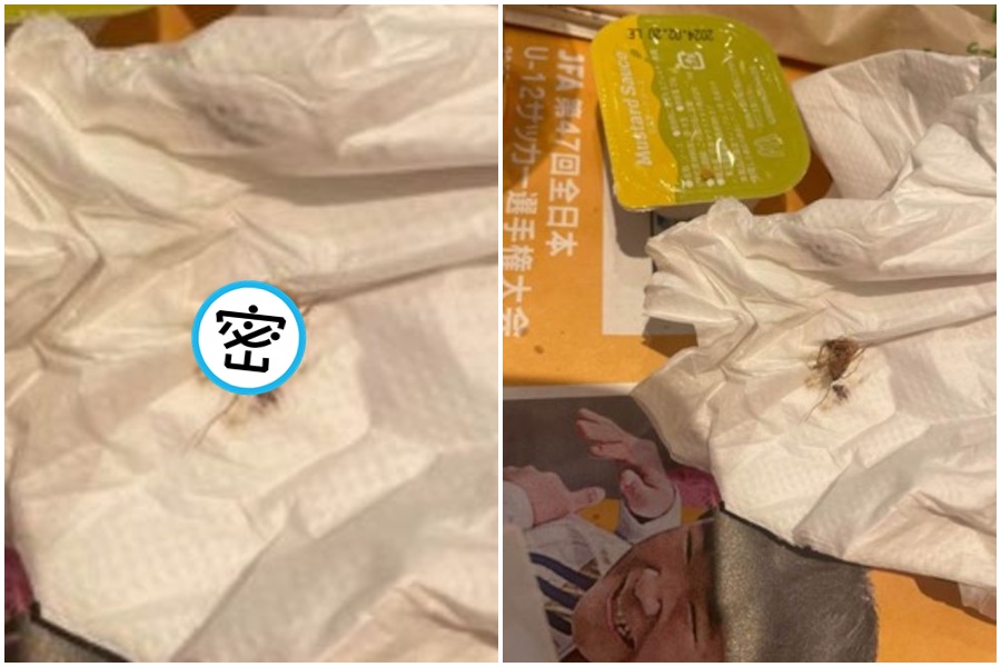 一名網友崩潰吃漢堡吃到一半，竟爬出一隻活生生的蟑螂，嚇得他拍照並上傳至網路。（翻攝自X）