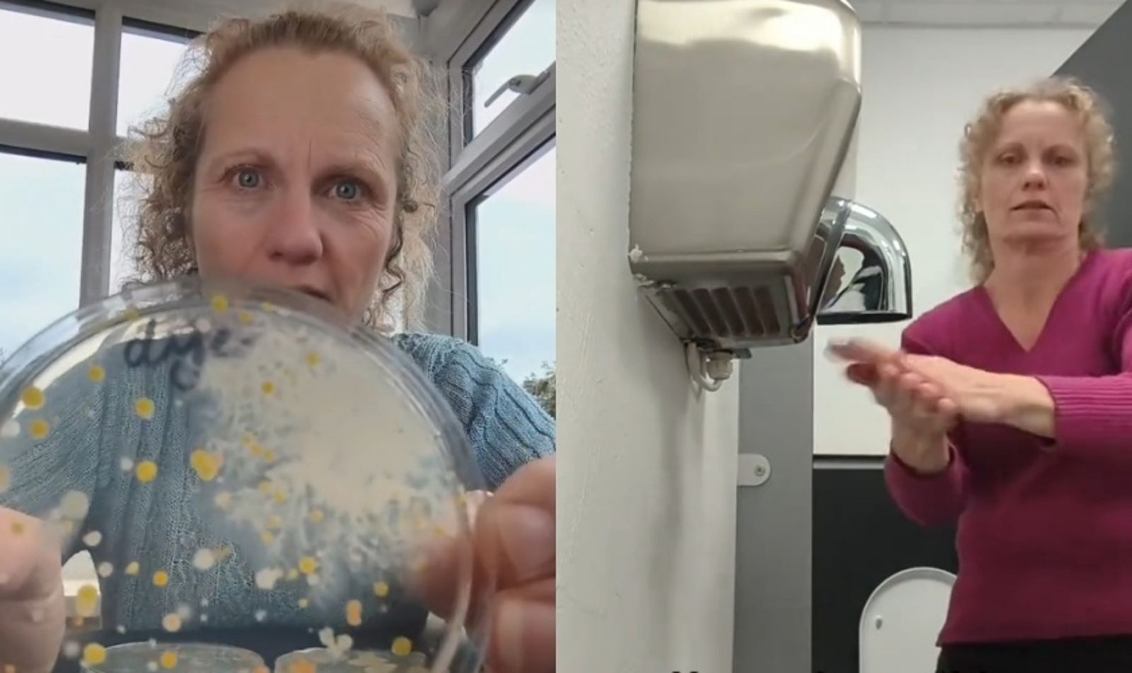 吹的不只是風?烘手機實測畫面曝光超噁 「滿滿細菌」網崩潰:裡面到底藏了什麼