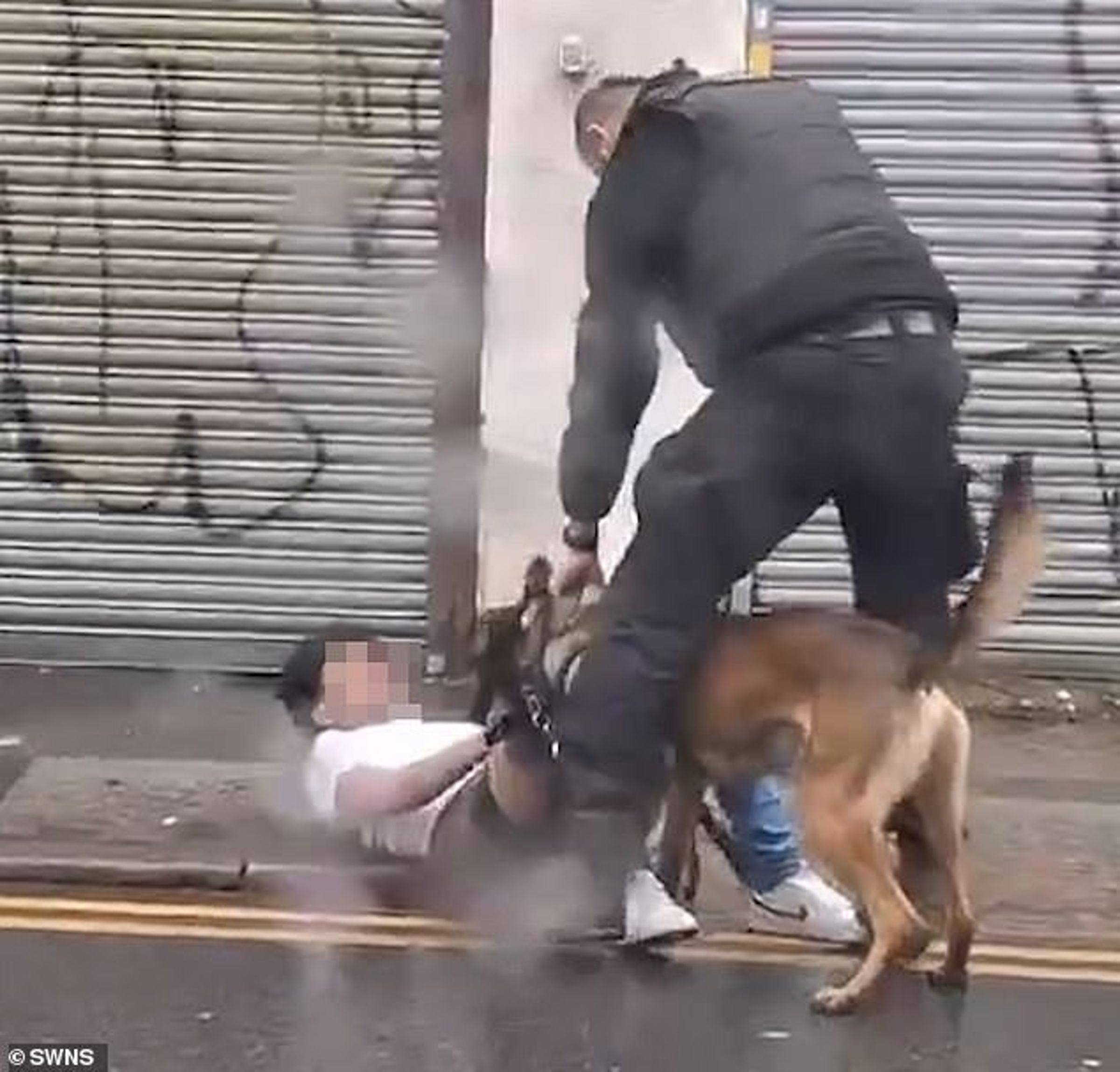 警方認為警犬執法適宜。(翻自《每日郵報》)