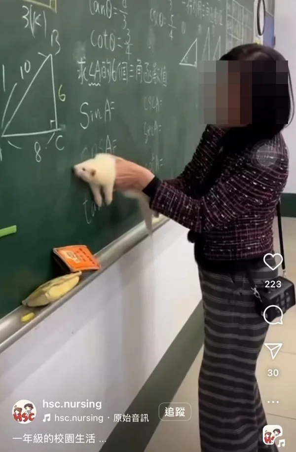 影片中出現雪貂被抓住並往黑板上緊貼，疑似是將牠拿來擦黑板，然而，事件引發網路關注後，影片也隨即下架。（翻攝自IG ＠hsc.nursing）