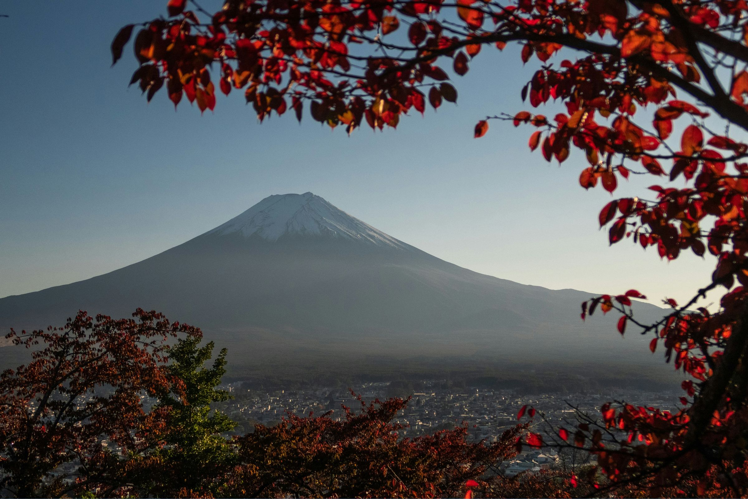 時逢日本紅葉季,2025年11月訪日外國人數高達351萬,創下11月新高。(取自Unsplash)