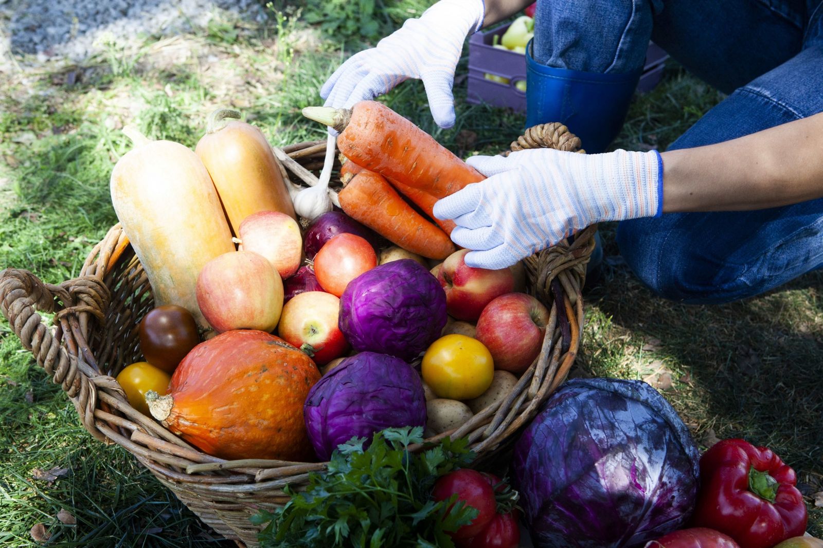 不用特別買有機!營養師公布2025「15種最乾淨蔬果」