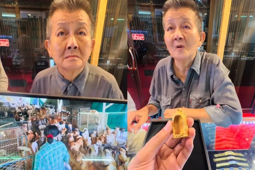 曾月賺2千萬！泰國女富豪晚年破產「變賣最後黃金」　只為救助1700多隻流浪貓狗