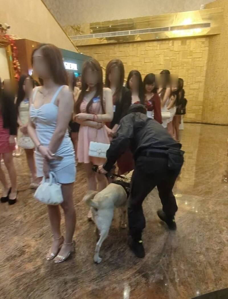 一整排酒店小姐依序配合臨檢，見到警犬可愛模樣忍不住想摸。（翻攝畫面）