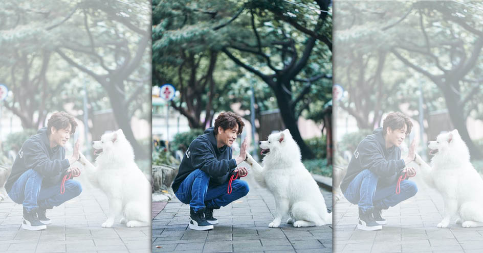 羅時豐近年經營的YouTube頻道「羅時豐DL.不務正Ya」，疑似與姪子張敏慎鬧翻後影片全數下架。（翻攝自羅時豐粉專）