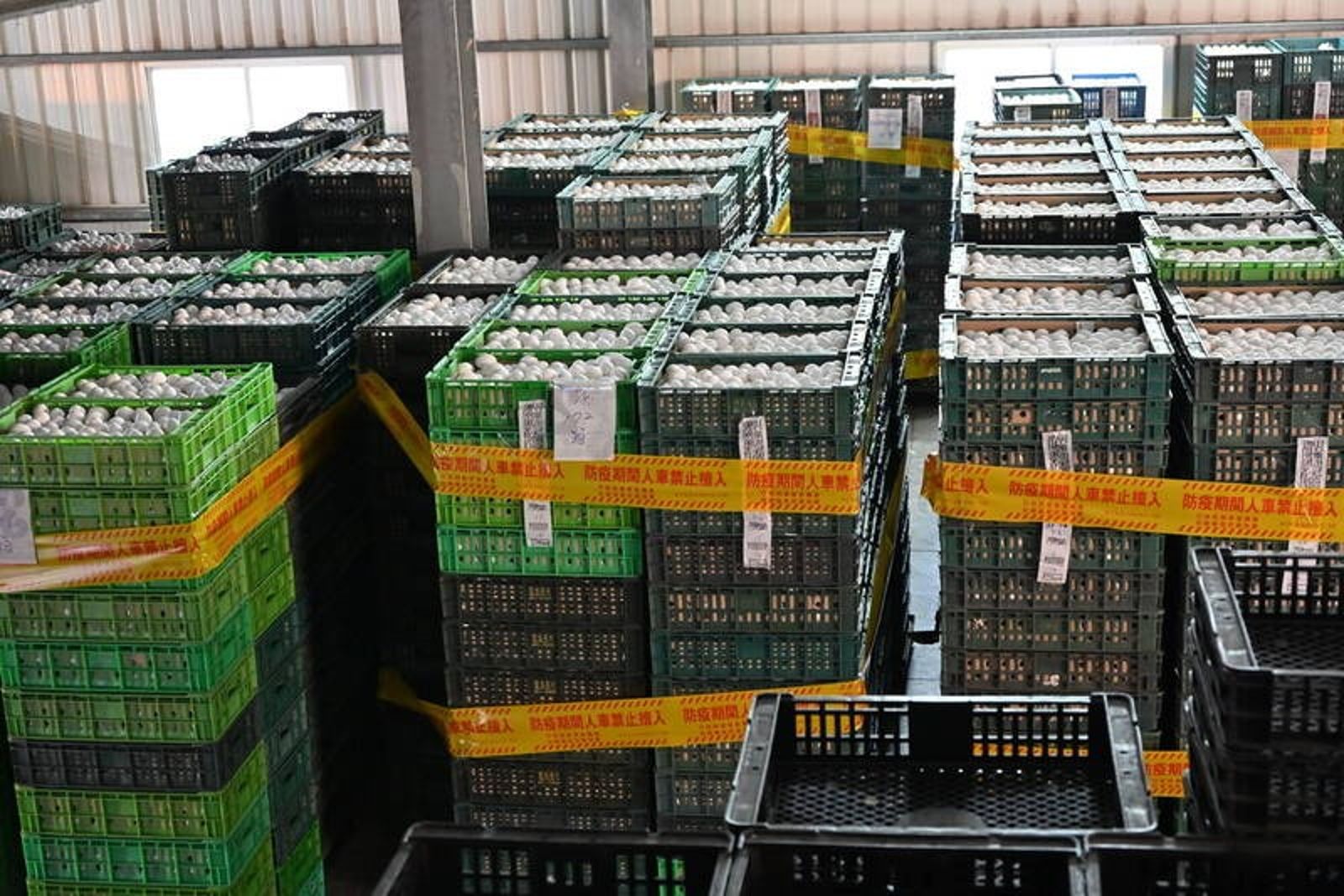 芬普尼毒蛋流竄!彰化文雅畜牧場封存25.6萬顆蛋 漏夜完成銷毀