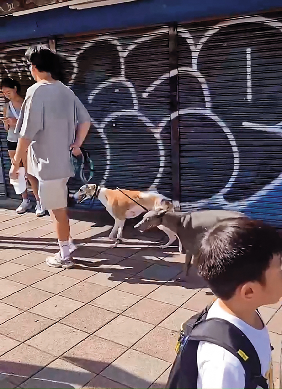 鏡頭追著彭于晏的背影，一路目送他往前走，可見男神魅力無窮。（讀者提供）