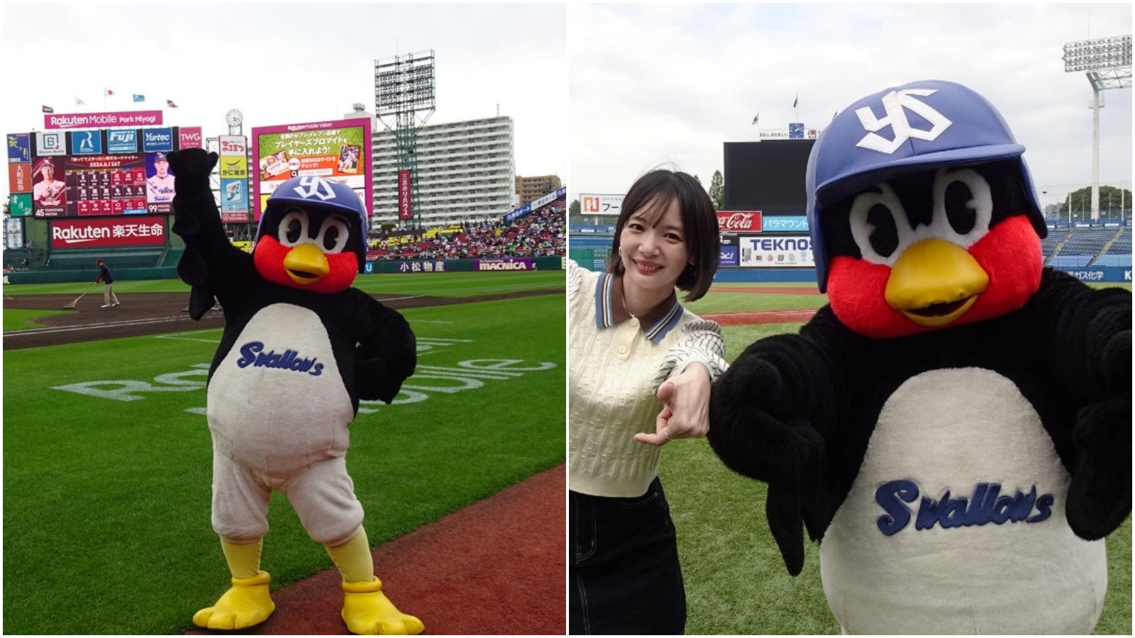 日職養樂多隊吉祥物燕九郎的內餡過世。（翻攝燕九郎Blog）