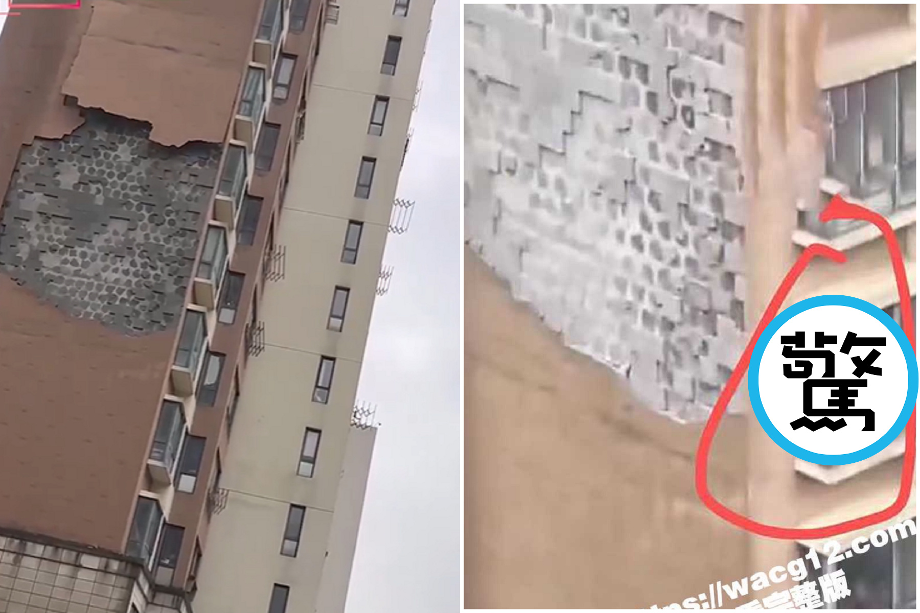 上海迎中共建國75年來最強颱風，民眾拍災情意外入鏡「人與人連結」。（翻自《吃瓜網》）