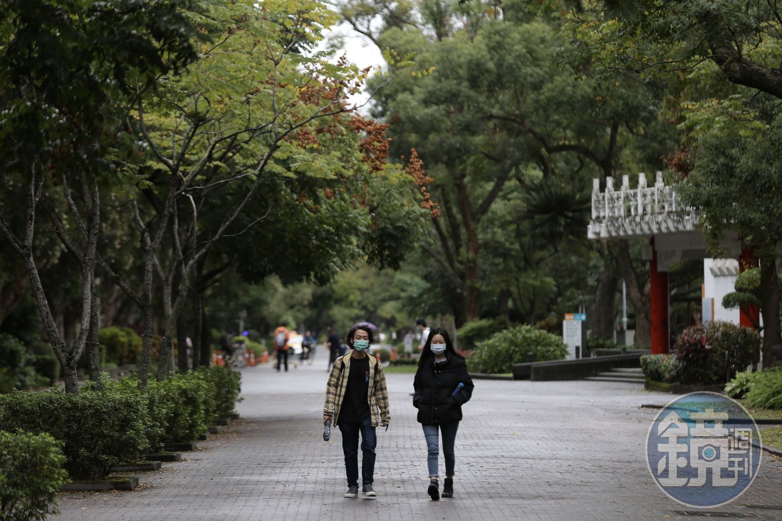 東北季風冷空氣最顯時間點曝光 專家提「輻射冷卻」低溫下探僅12度