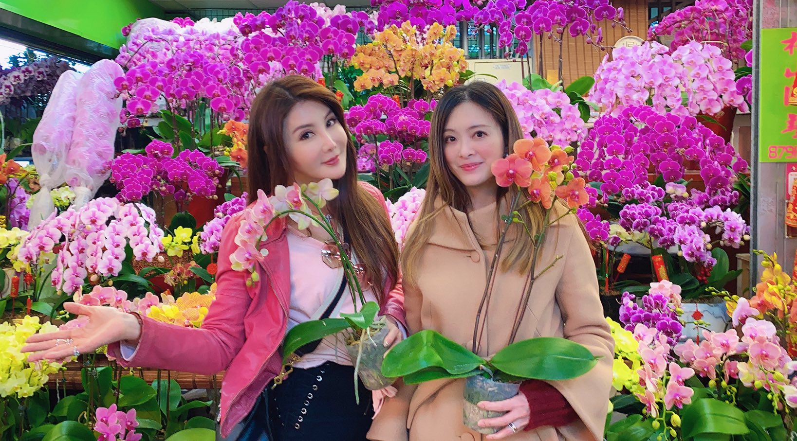 劉真過世6年，摯友楊麗菁悲痛喊「難以置信」。（翻攝自楊麗菁臉書）