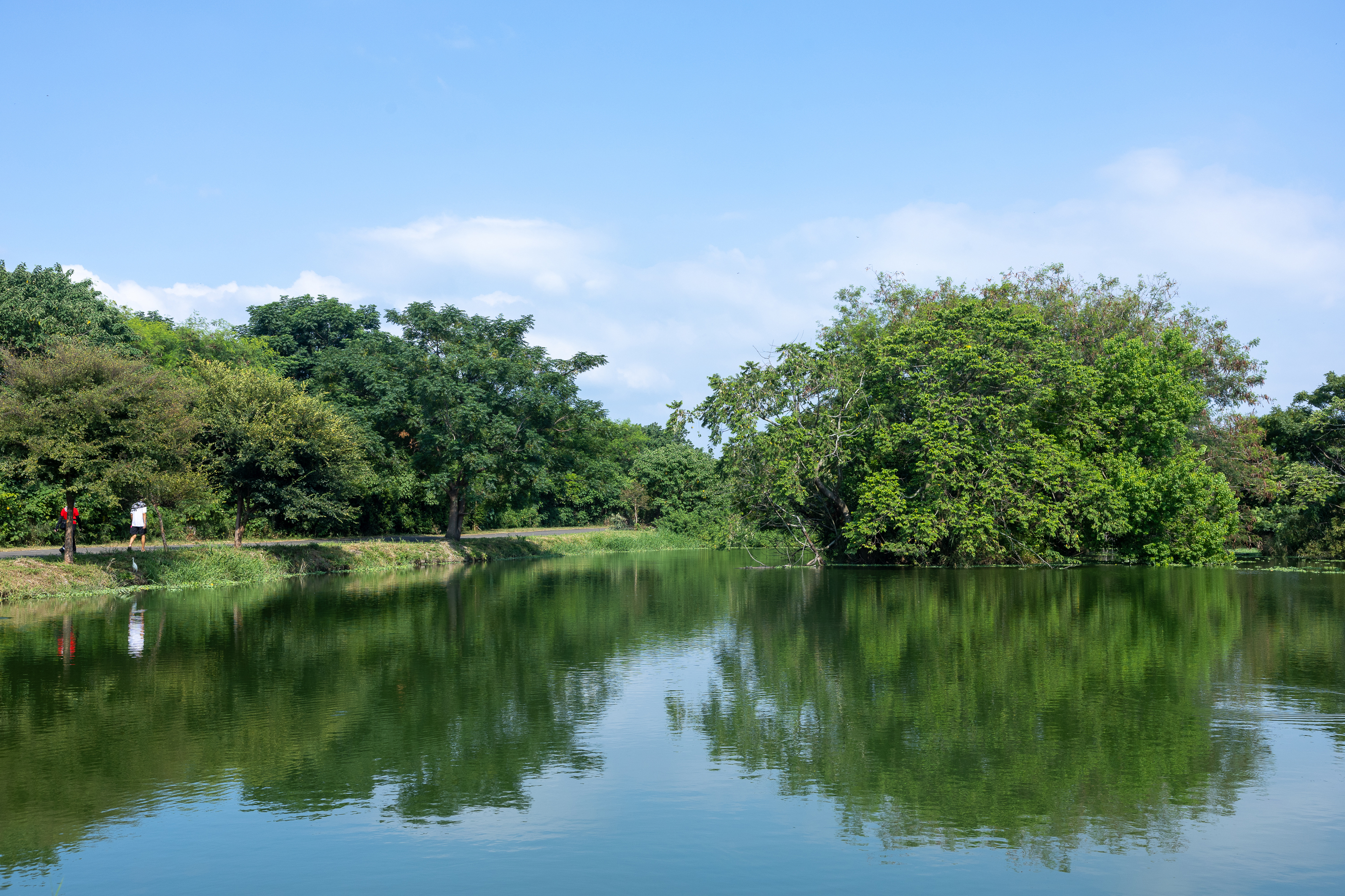 溪埔子人工濕地為市民打造新的自然視野。
