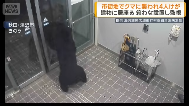 田黑熊連襲4人還闖民宅「不走了」。（翻攝自YT/ ANNnewsCH）