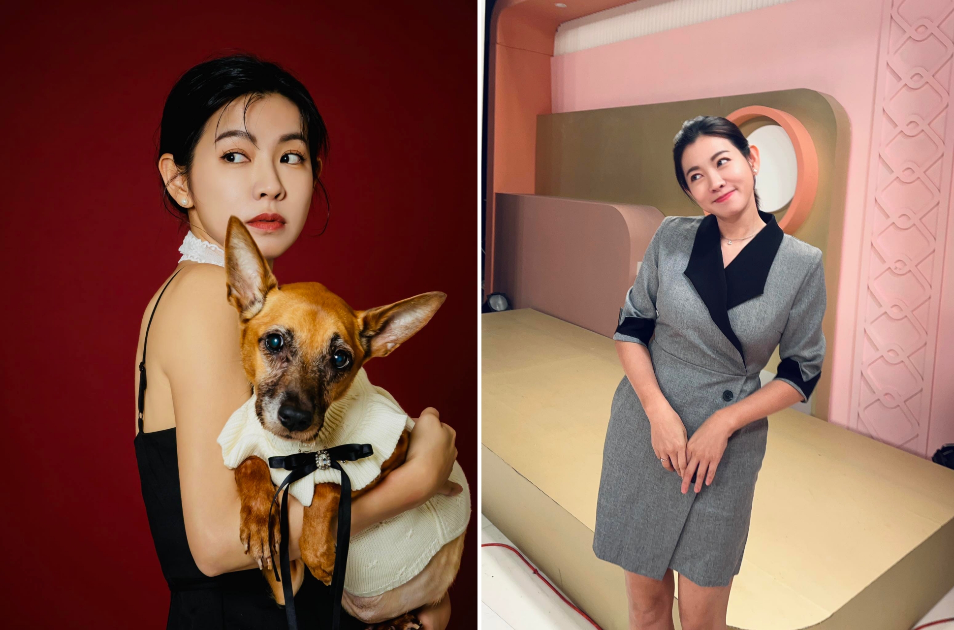 米可白再次被認米格魯，此事超級迷因。（臉書）