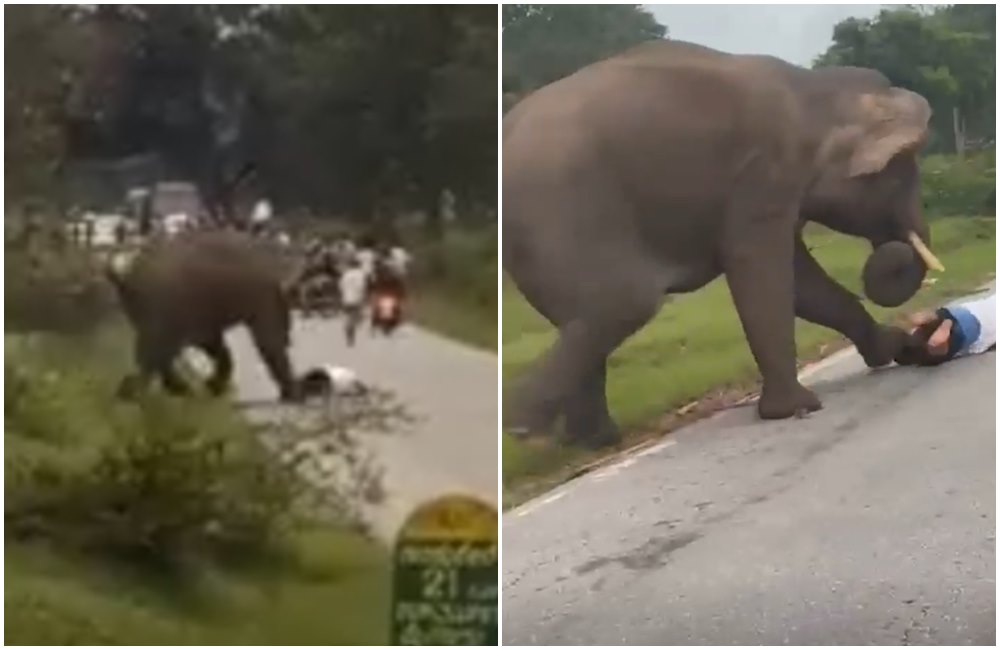 男子試圖與大象自拍，結果惹怒大象，遭到攻擊。（翻攝影片畫面）