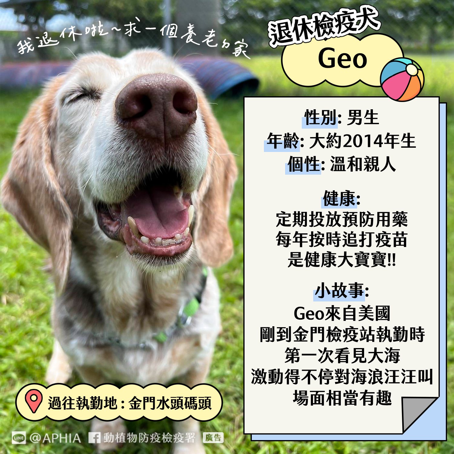 Geo來自美國,剛到金門檢疫站執勤時,第一次看到大海激動得對海浪汪汪叫,場面相當有趣。(翻攝自動植物防疫檢疫署臉書)