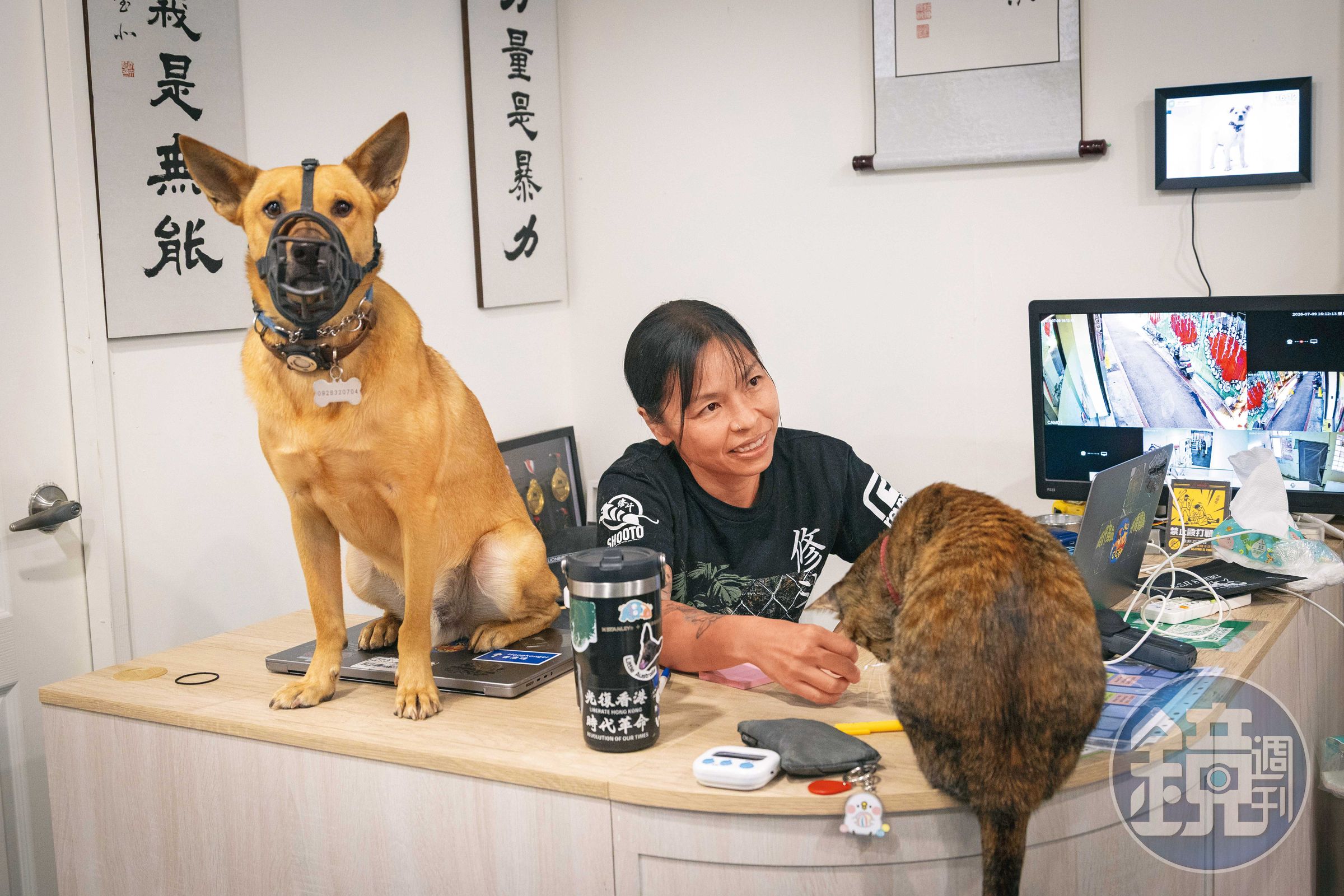 杜依蘭工作時,貓狗常常黏著她。她認為,也許牠們想保護自己。