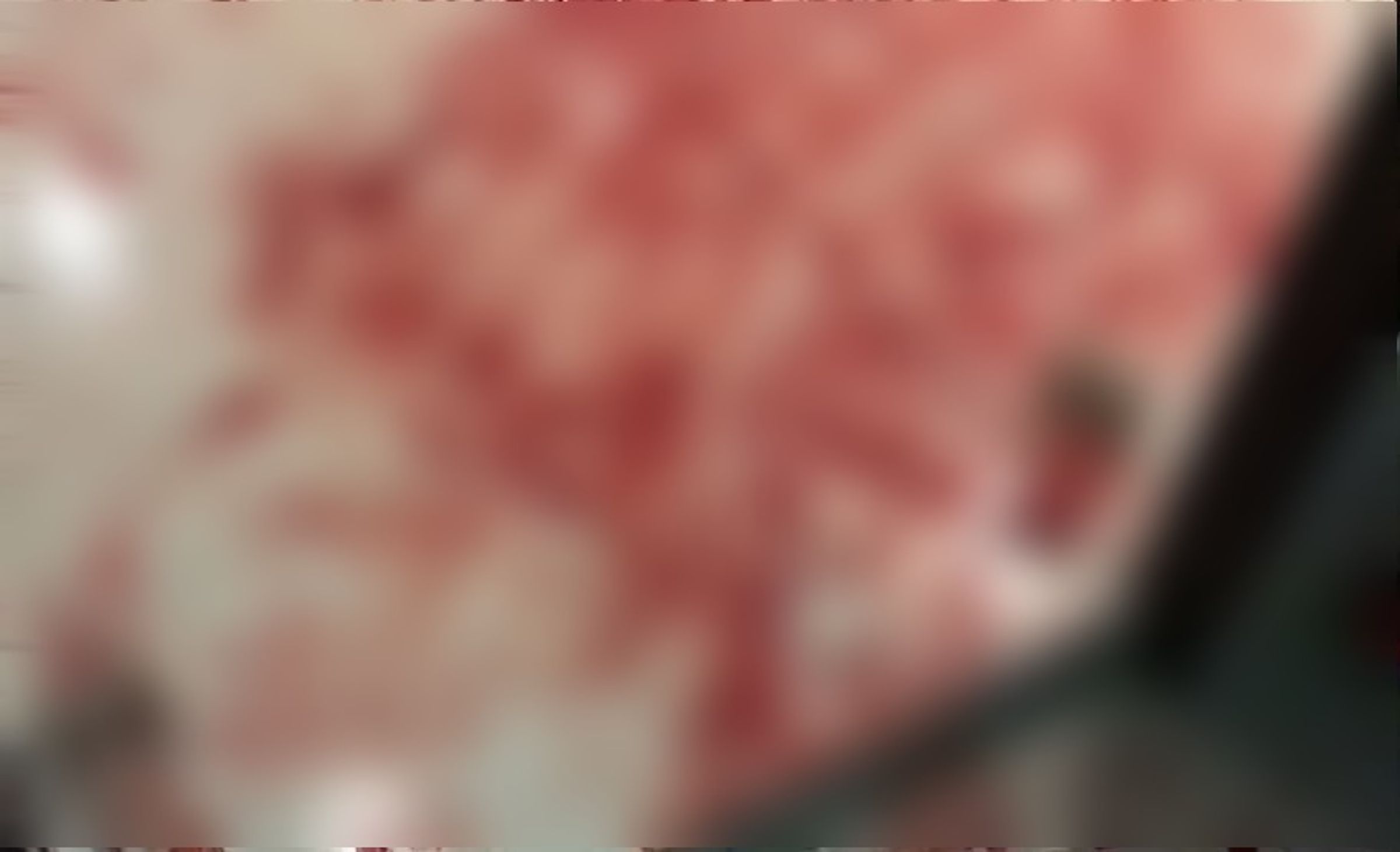 血濺滿地,相當怵目驚心。(翻自MGR臉書)