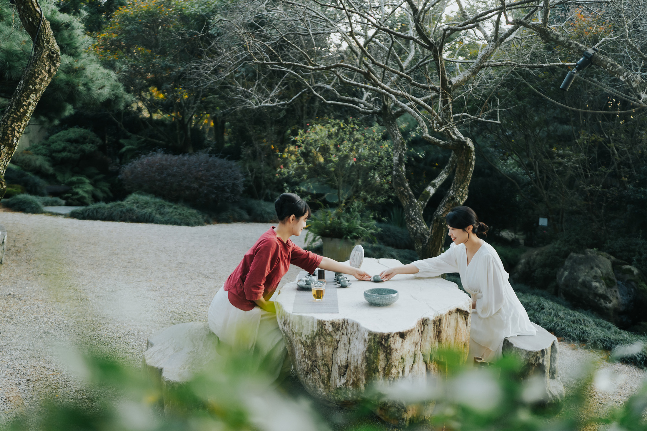 寶元紀耗時四年打造的「寶元紀之丘」落腳苗栗三義，在雲霧繚繞與楓香綠意間，將於元月化身為一座沉浸式的茶文化樂園。（POUYUENJI寶元紀提供）
