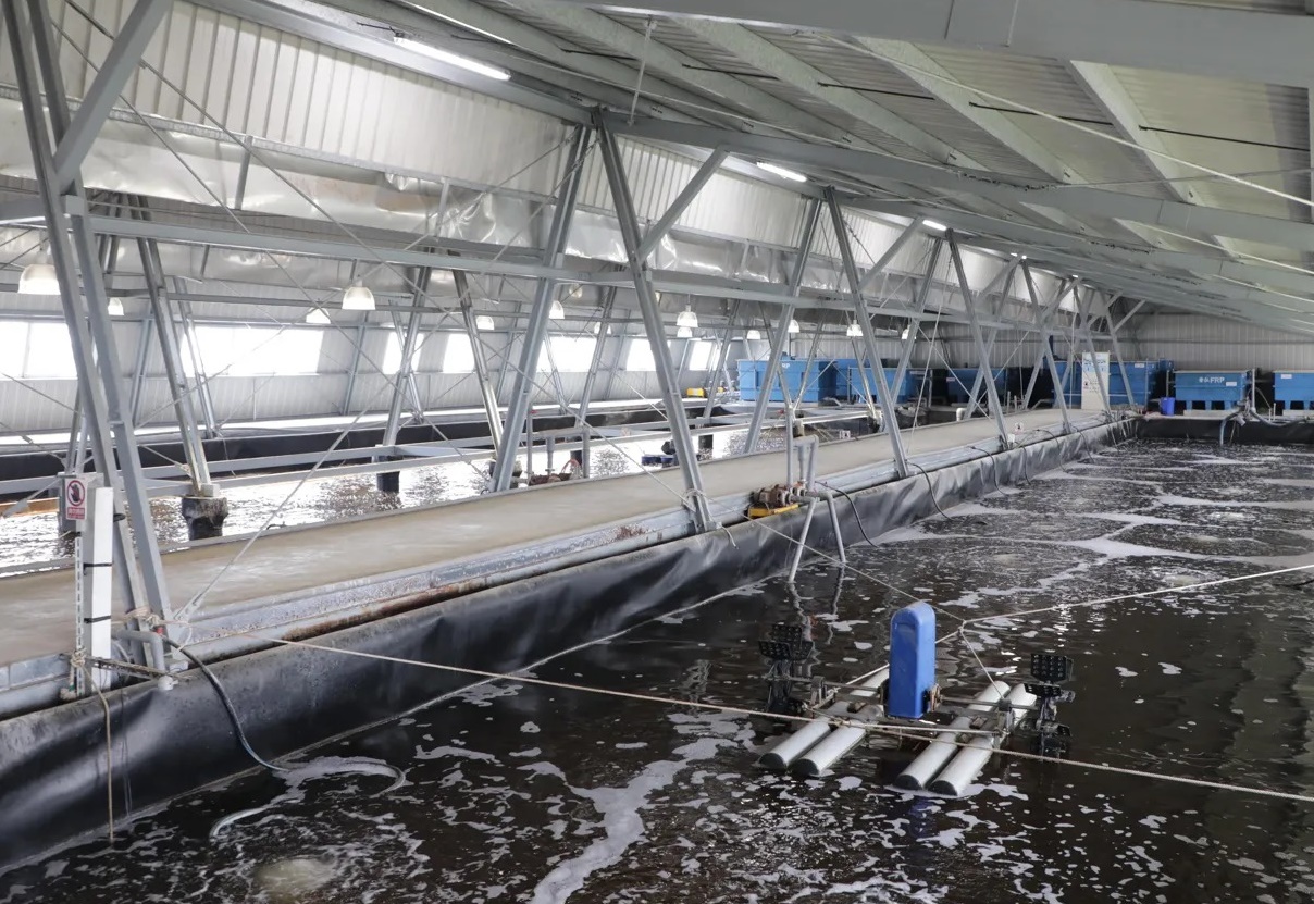 謝龍介直言，漁電共生政策最為嚴重的是，農業部與審計部數據落差極大，顯示查核制度本身有漏洞。（翻攝自台南市政府官網）