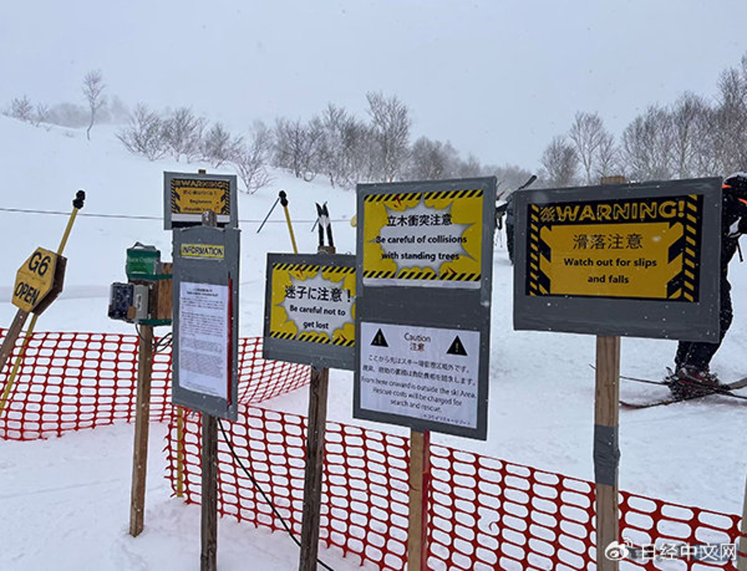 中國人愛闖北海道禁區滑雪,撞樹、跌坑全來!賣命玩法仍喊「沒事兒」。(翻自微博)