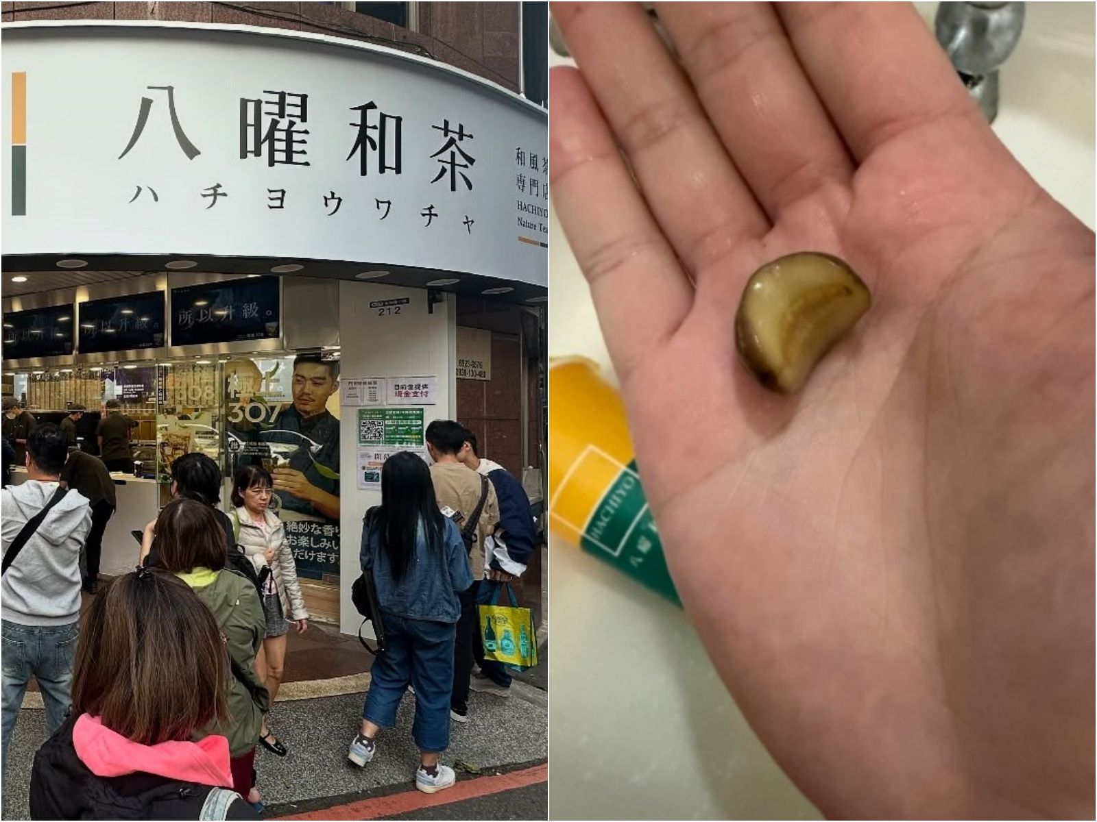 「梅子在動」手搖杯喝到活蛞蝓噁爆 八曜和茶調查結果出爐!未來處置方式曝