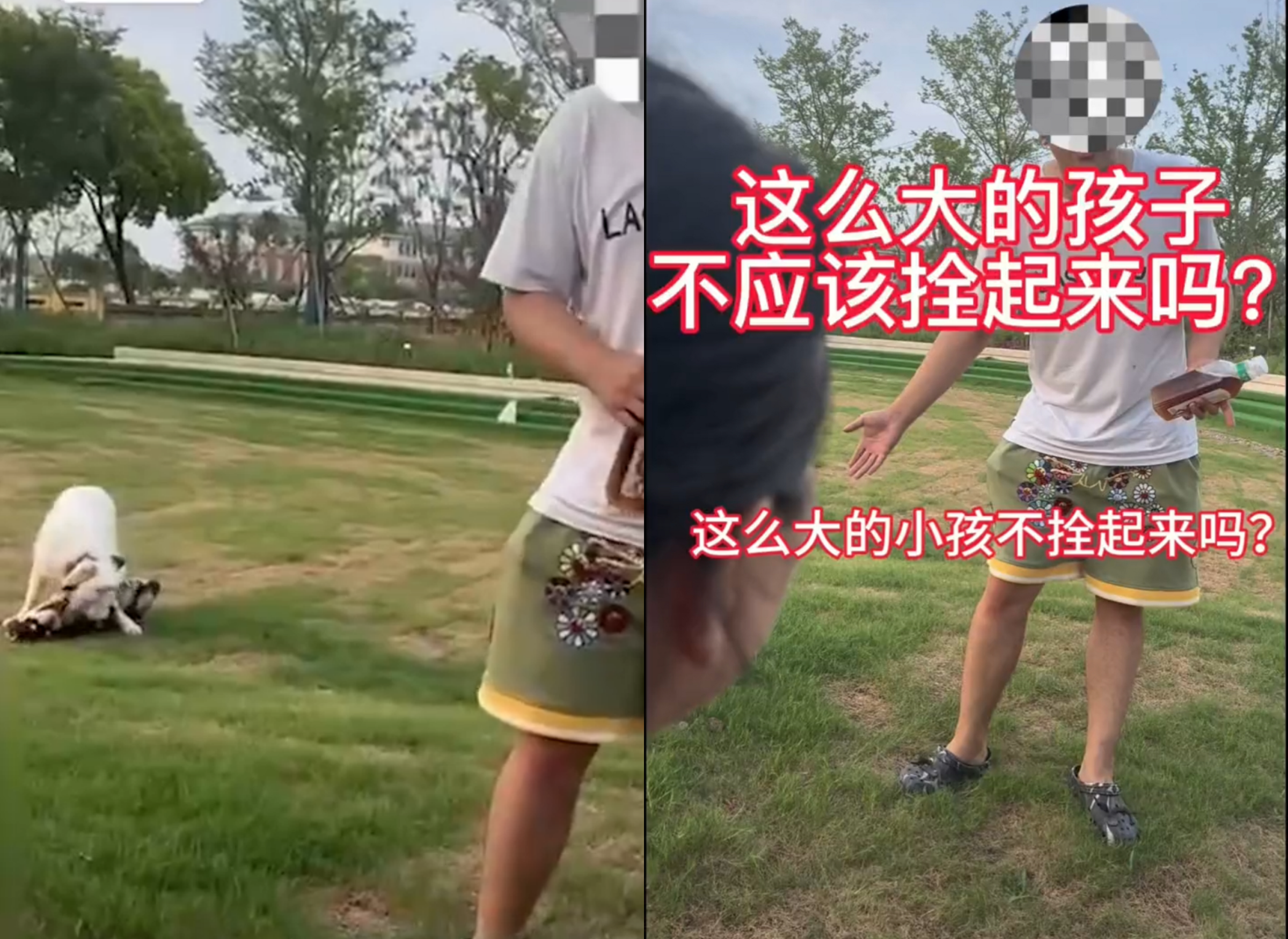 中國上海一名男子遛狗未帶牽繩,還對路人嗆聲。(翻攝澎湃新聞)