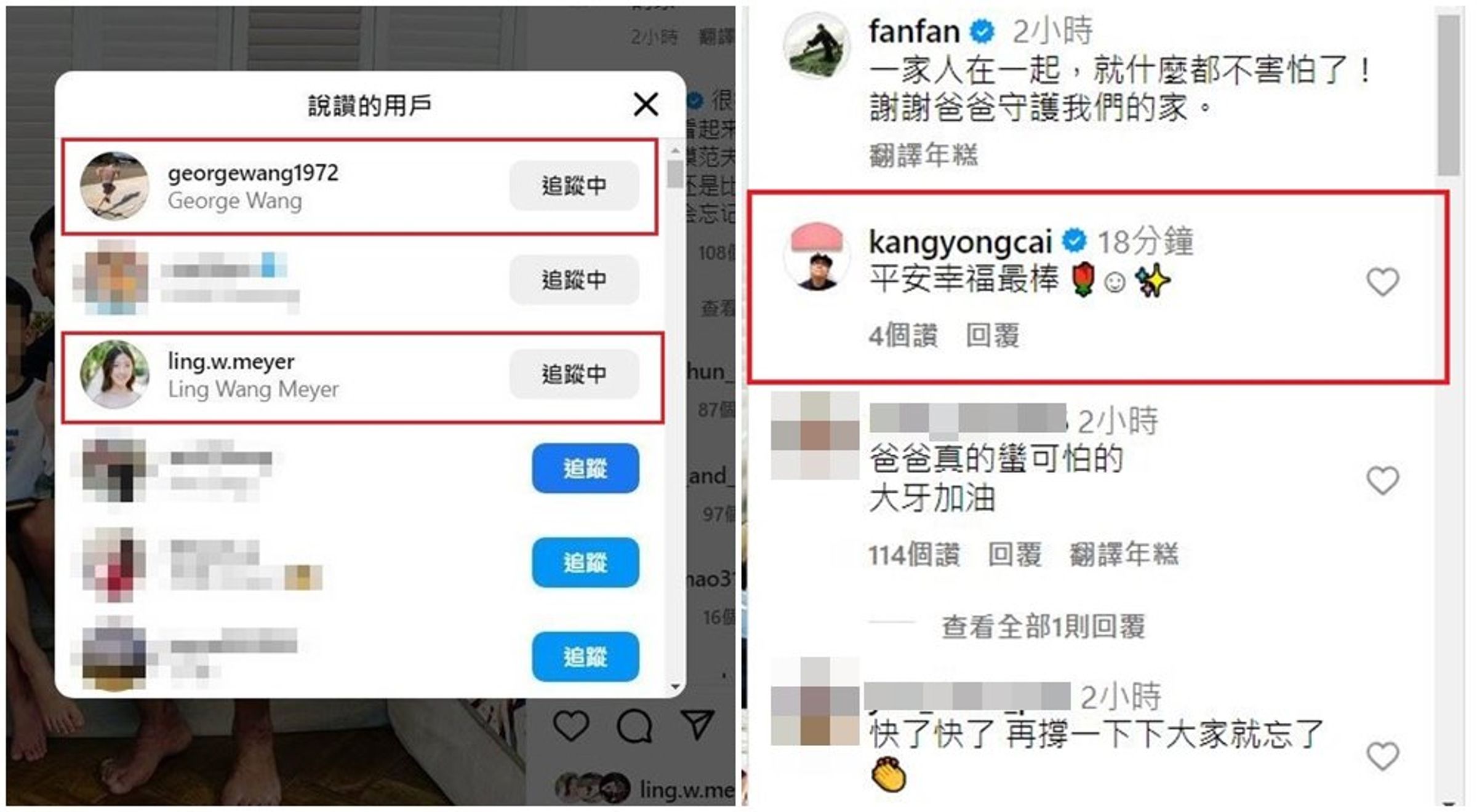 賈永婕老公王兆杰、王偉忠女兒王羚按讚(左圖),蔡康永則留言聲援黑范夫妻(右圖)。(翻攝范瑋琪IG)