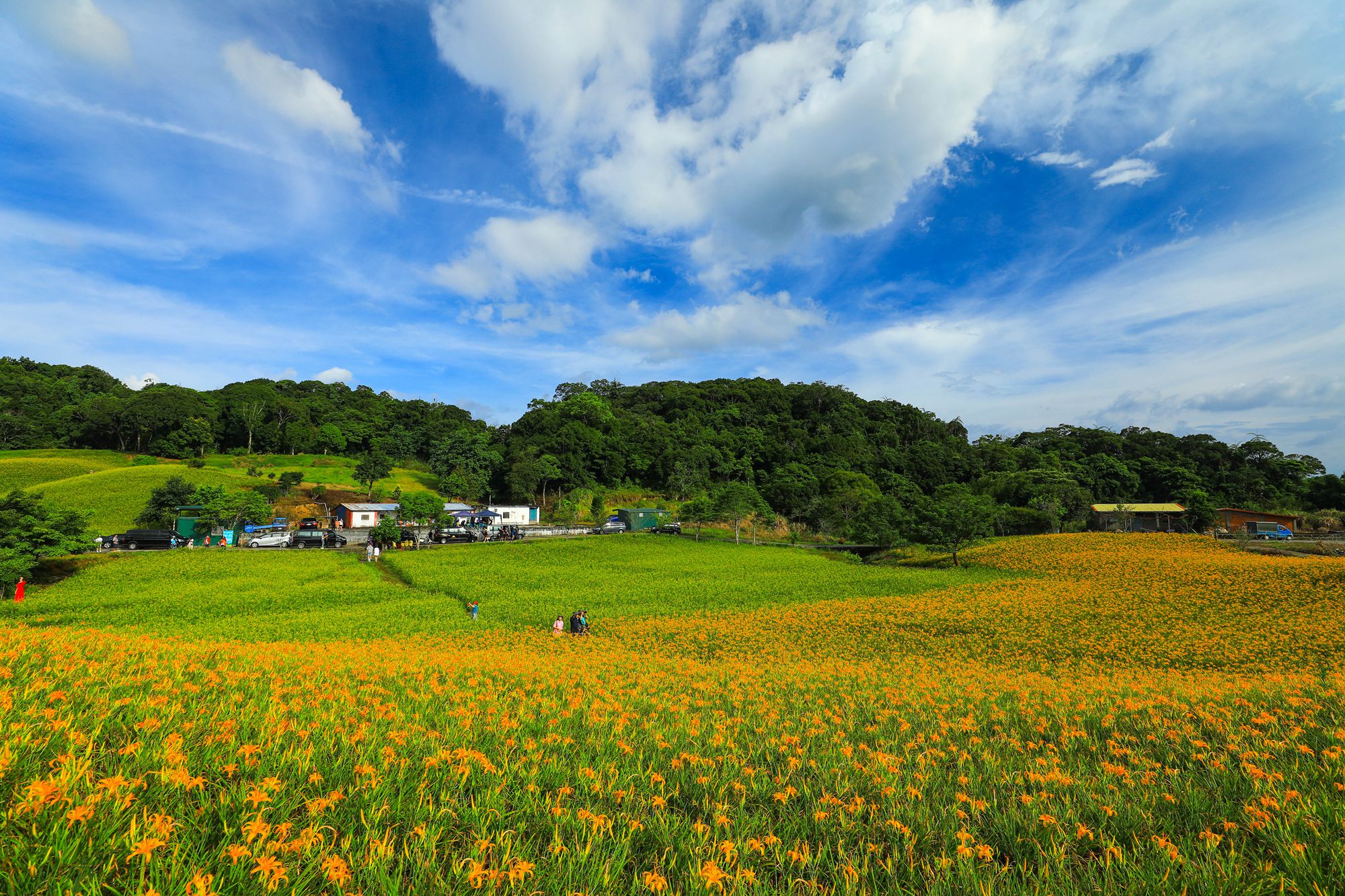 農業部推出花蓮農粉幣方案，發送期限延長至11月底。（翻攝自花蓮縣政府農業處臉書）