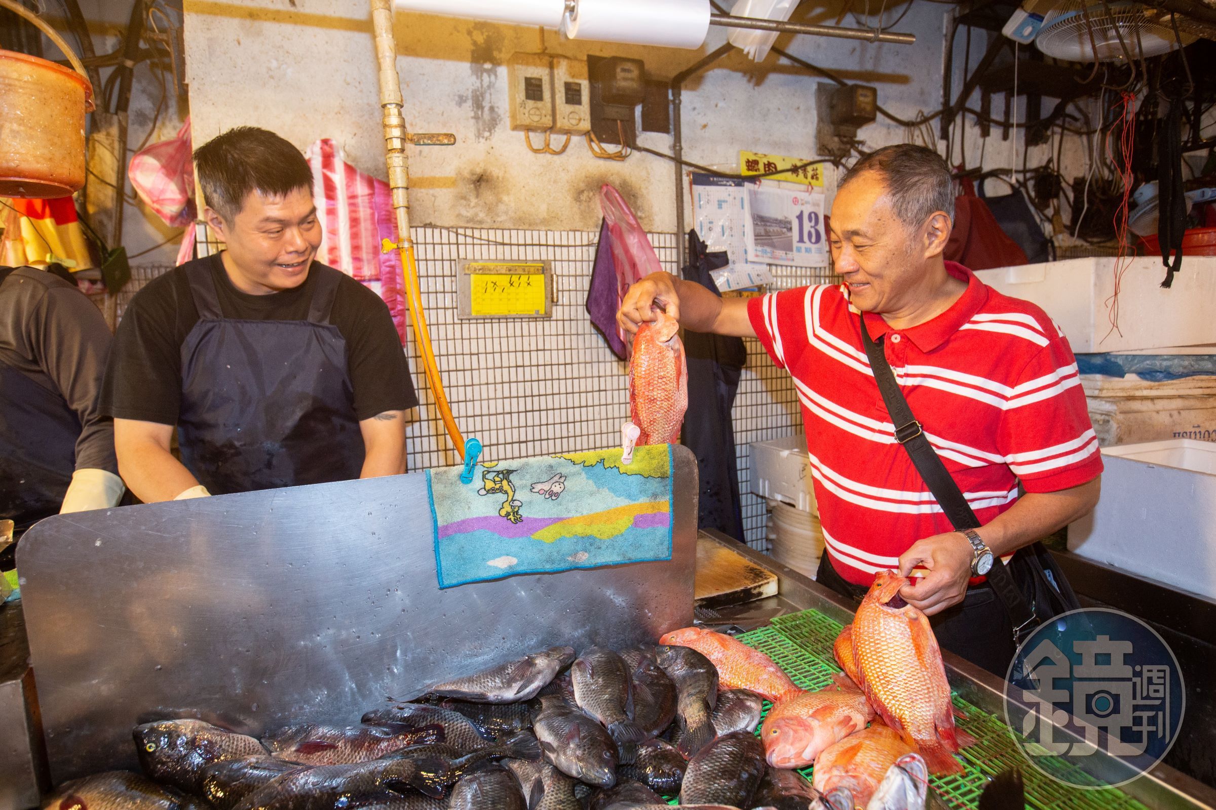 做豆瓣魚的魚種特別經過挑選,會選用外型鮮豔、肉質細膩的紅尼羅魚。(時價)