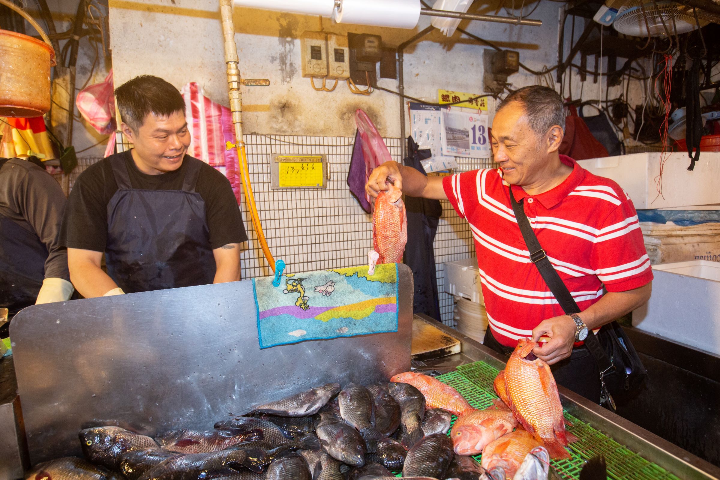 做豆瓣魚的魚種特別經過挑選，會選用外型鮮豔、肉質細膩的紅尼羅魚。（時價）