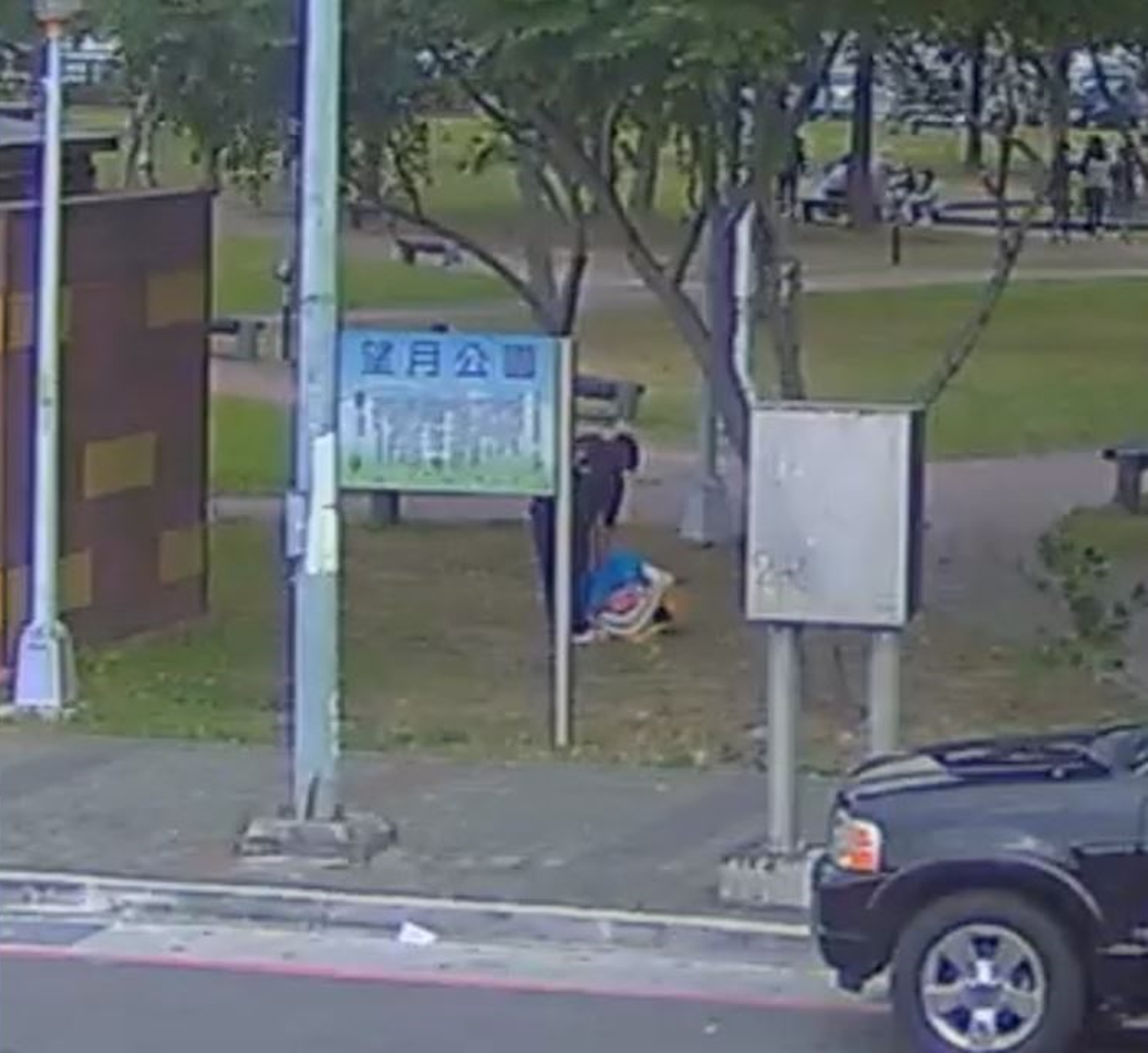 詹小姐將2隻米克斯貓咪遺棄在板橋區望月公園廁所內,不僅被裁罰3萬元,也被環保局列入飼養黑名單中。(新北市動保處提供)
