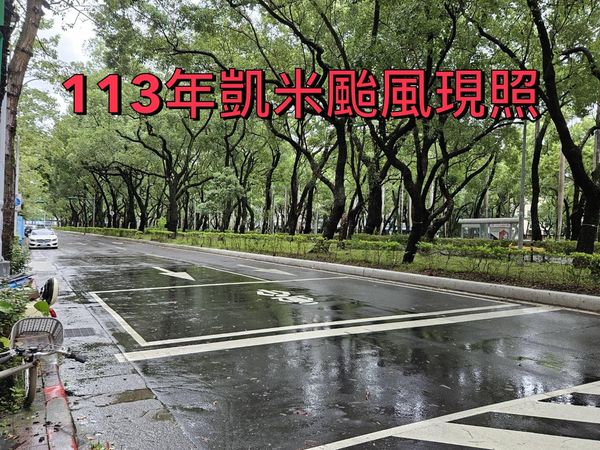 北市府po出今日照片澄清，仁愛路沒有樹木傾倒蓋滿地面狀況。（公園處提供）