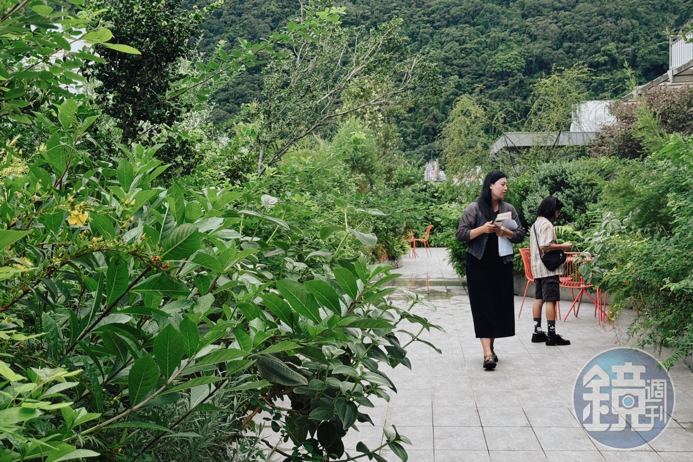 從8樓的天境套房或頂樓花園,可感受整片由景觀建築師吳書原精心打造的綠意花園。