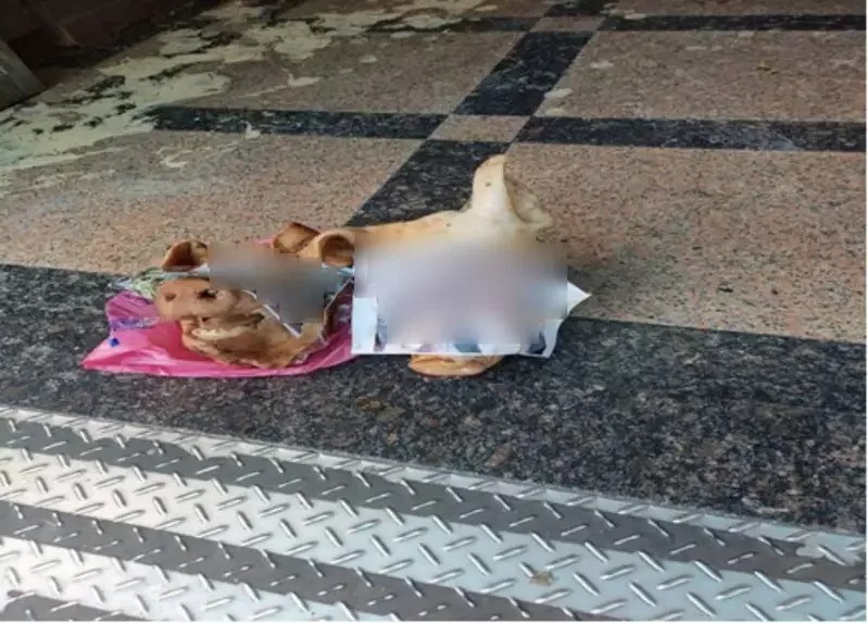 竹聯幫成員討債方式竟是擺豬頭、潑灑鯡魚罐頭。（翻攝畫面）