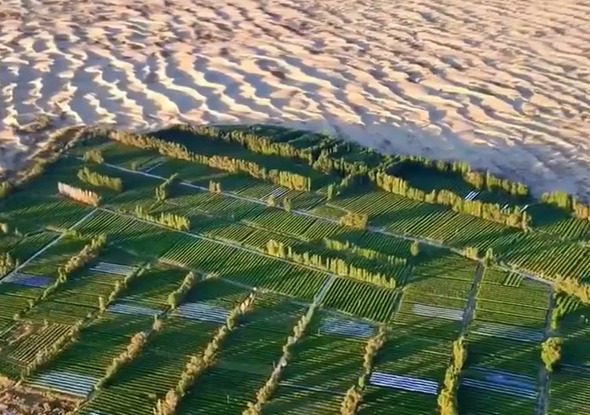 陸媒報導治沙有成，在5年毛烏素沙漠將徹底從地圖上「消失」，且望成全球首消失沙漠。（翻攝自微博）