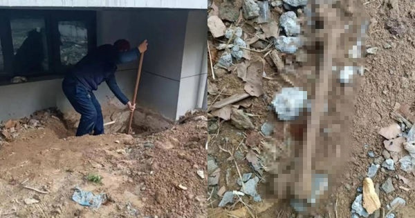 真實恐怖故事!女子院中連挖人骨,幸福新房秒變凶宅,然而卻討不回補償。(翻攝自微博)