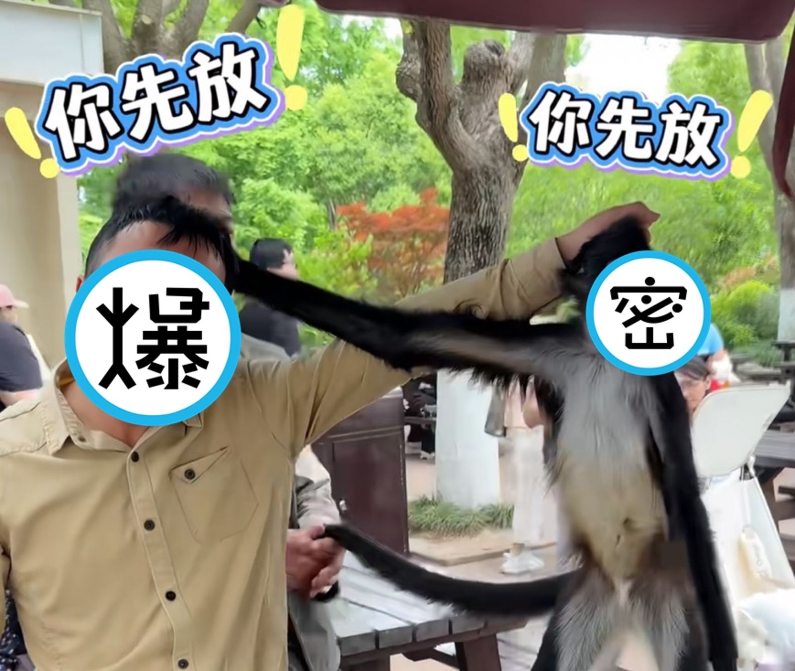 都跟你說了放手!上海蜘蛛猴造反啦 與保育員「互揪頭髮斜眼瞪」父子臉表情神同步