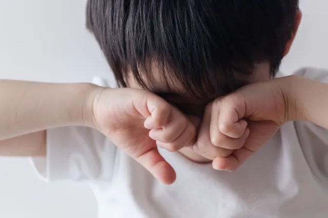3歲男童在郵輪衛浴間上廁所時，馬桶蓋突然砸落，當場造成男童下體大量出血。（示意圖，photo-ac）
